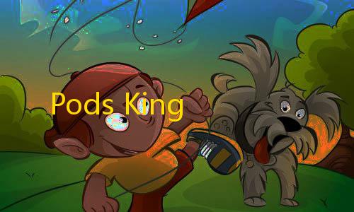 暗区突围直装最新Pods King