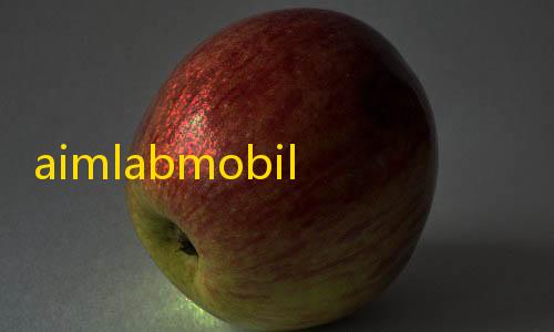 暗区直装免卡密aimlabmobile